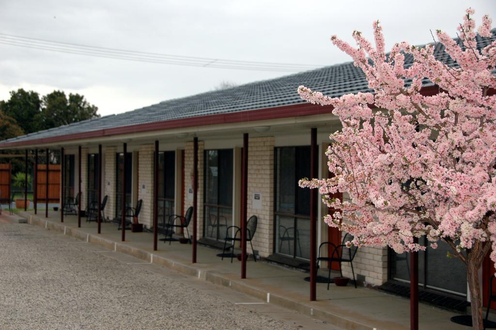 Motel Woongarra Rutherglen Bagian luar foto
