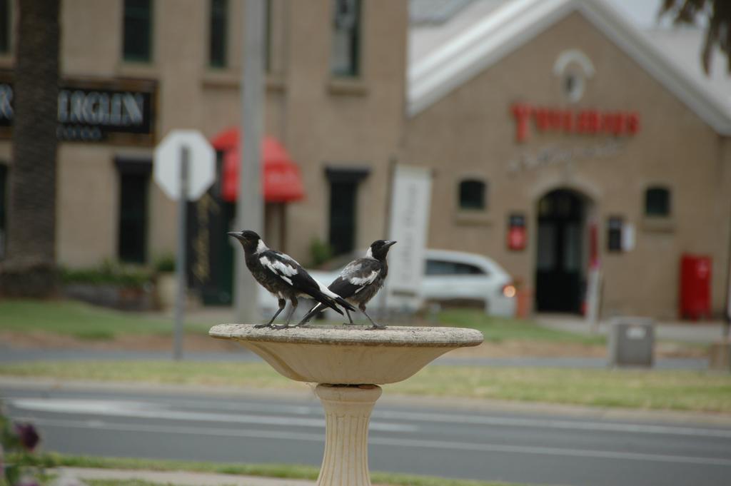 Motel Woongarra Rutherglen Bagian luar foto