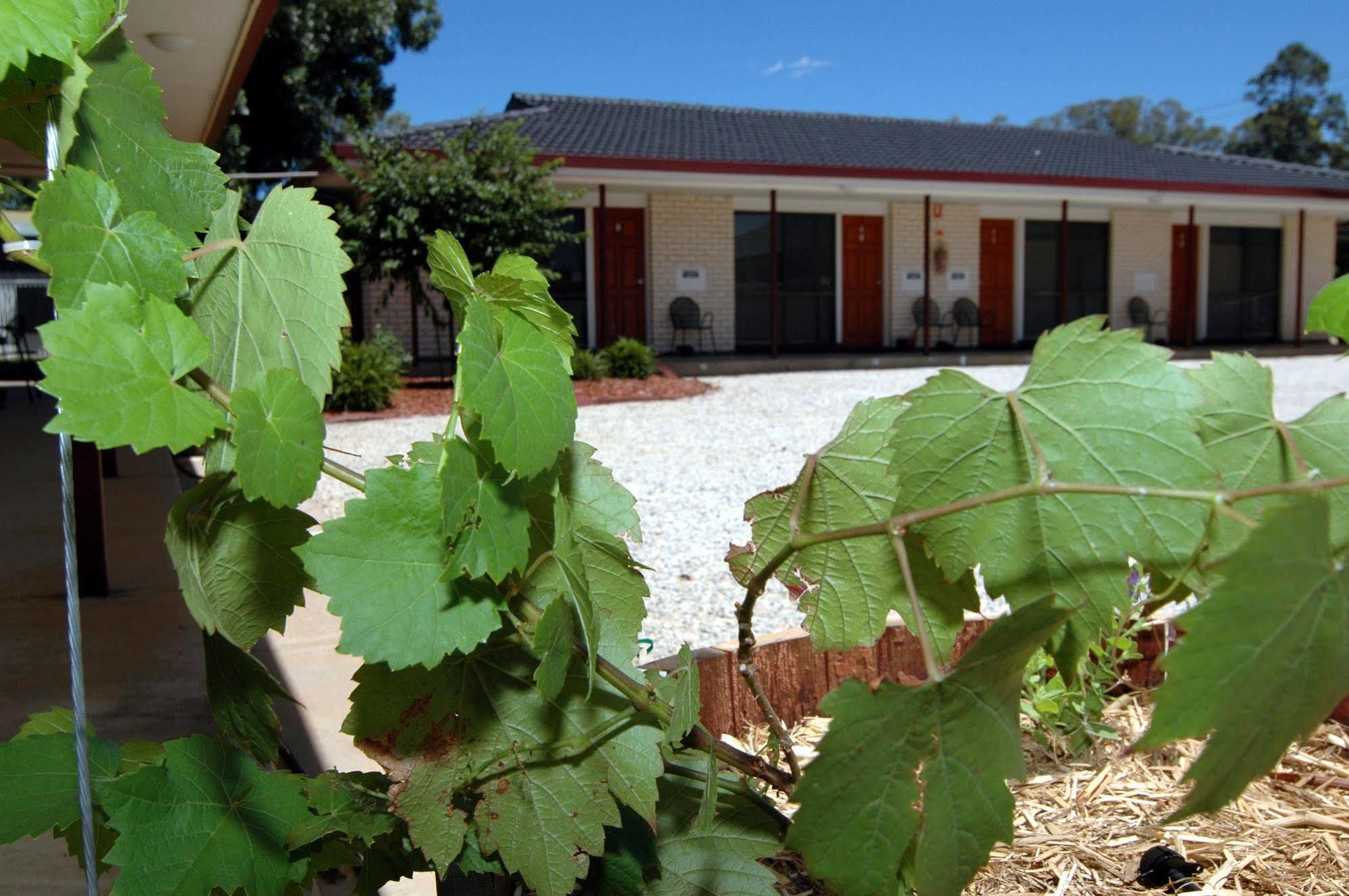 Motel Woongarra Rutherglen Bagian luar foto